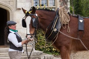 CHL's heavy horses greeted guests as they arrived for the ceremony