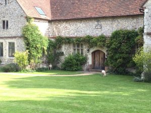 The tiny baby lambs of spring are now positively chubby! here they are sneaking out for more grass.