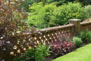 Rabbit resistant plants on the Upper Terrace