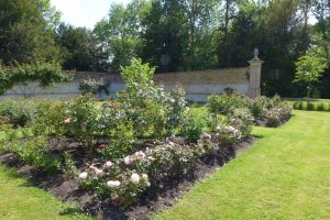 The Rose Garden here at Chawton House Library, planted in 2009 to mark the bicentinary of Jane Austen coming to live in Chawton Village