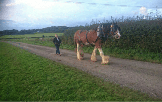 Speedy with new owner Joanne