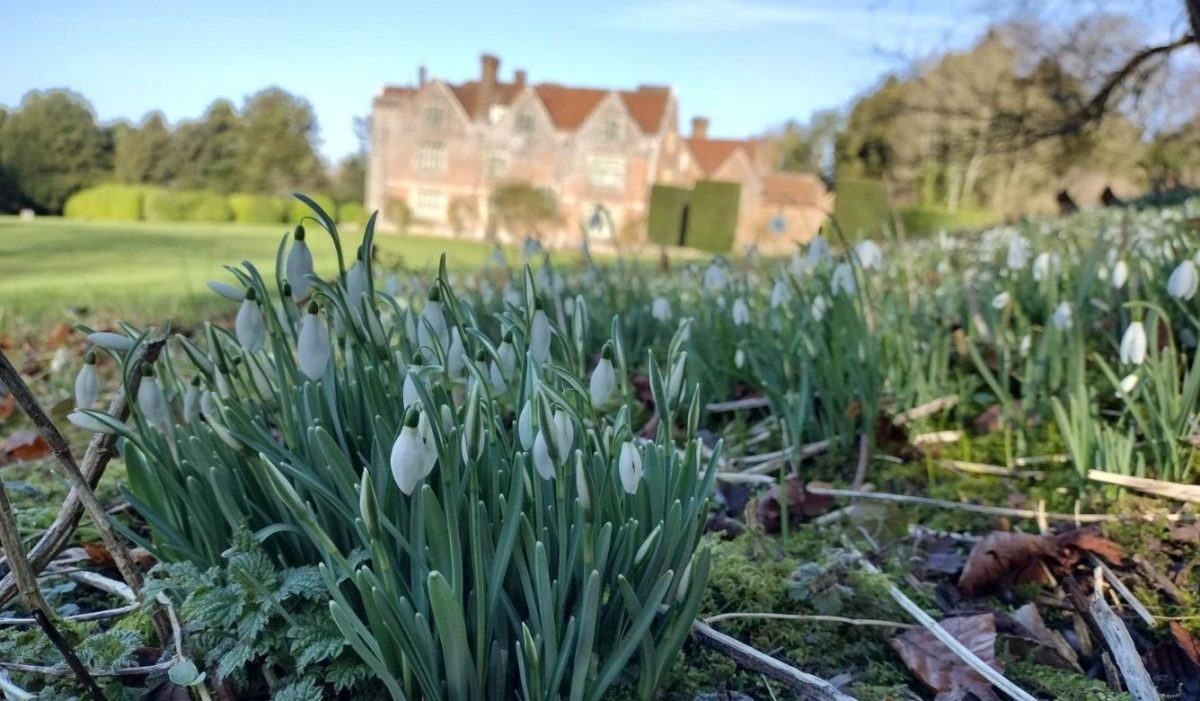 Historic Garden Tour With Chawton House s Head Gardener Chawton House historic-garden-tour-with-chawton-house-s-head-gardener-chawton-house