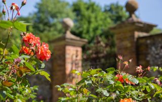 Historic Garden Tour with Chawton House’s Head Gardener