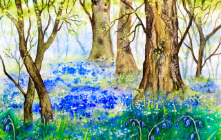 Bluebells & Blossom Watercolour Workshop