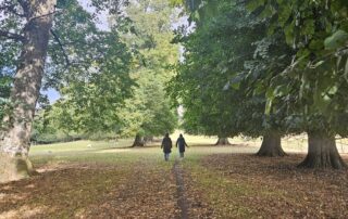 In Austen's Footsteps: Guided Estate Walk