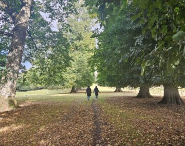 Summer into Autumn 