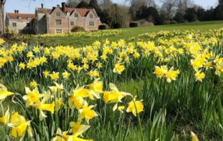 Historic Garden Tour