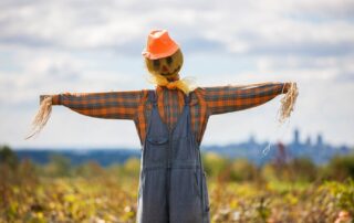 Scarecrow Week!