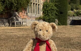 Bank Holiday Teddy Bear's Picnic